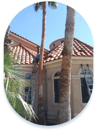 Roof Repair Services - Bayfront Roofing and Construction
