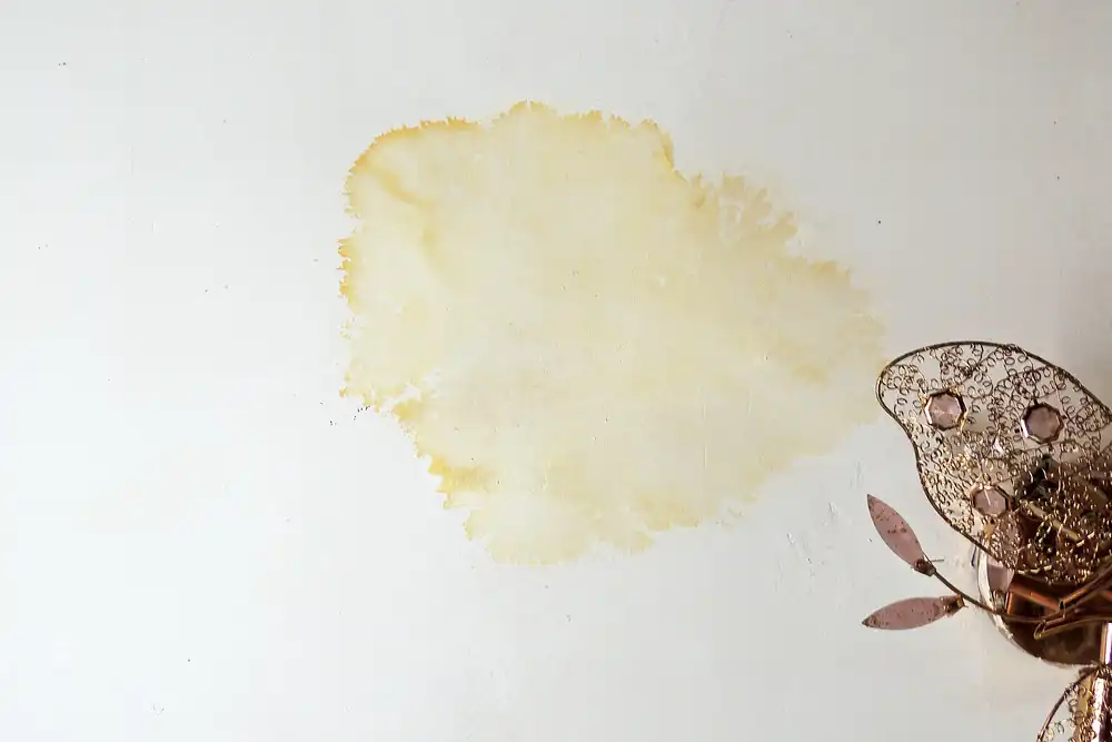 ceiling water stain