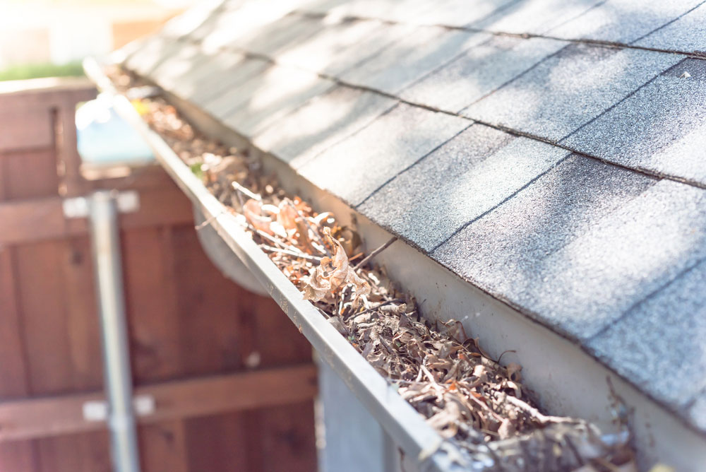 Taking Care of Gutters is Important for Roof Maintenance Bayfront