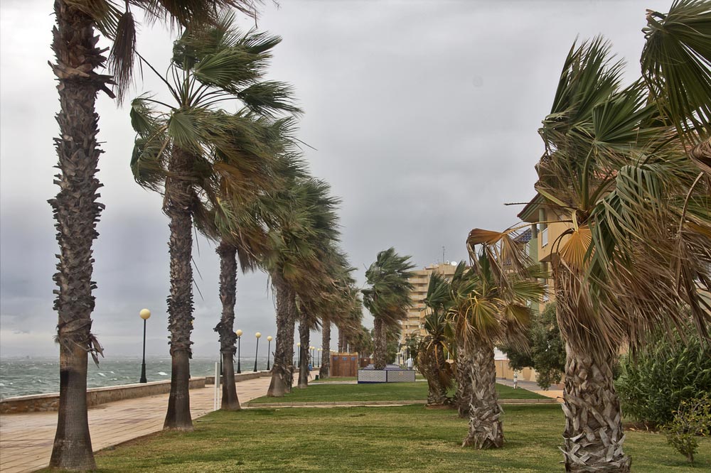 hurricane storm coast