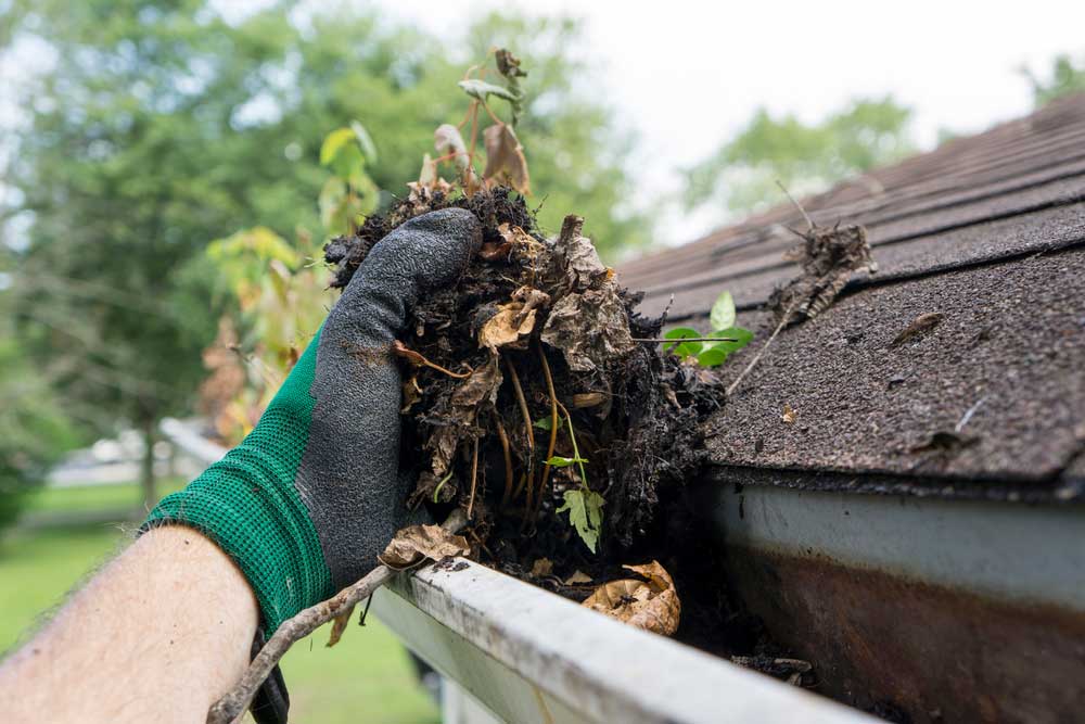 gutter cleaning roof maintenance