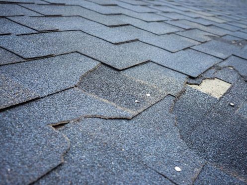 roof shingle damage